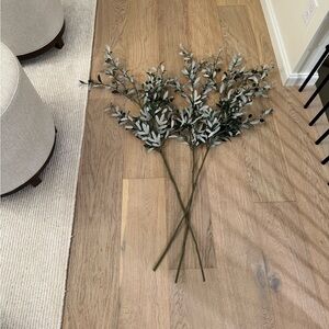 Pottery Barn Olive Branches: Set of 3